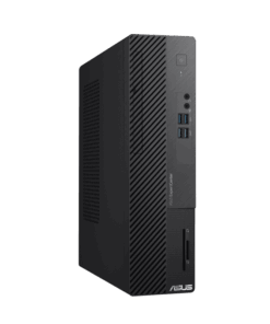 Asus ExpertCenter (D500SE-3131MY006WS)