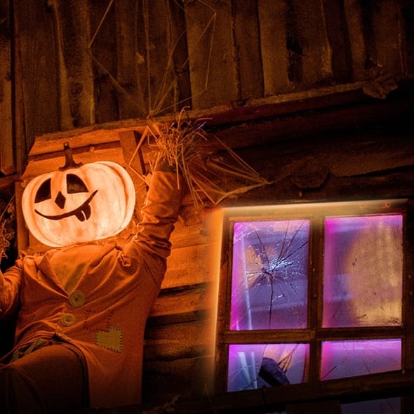 TP-Link Tapo L920-5 Smart Wi-Fi Light Strip, Multicolor - Image 5